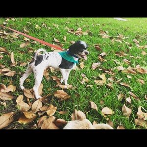 Meet your Posher, Natalia